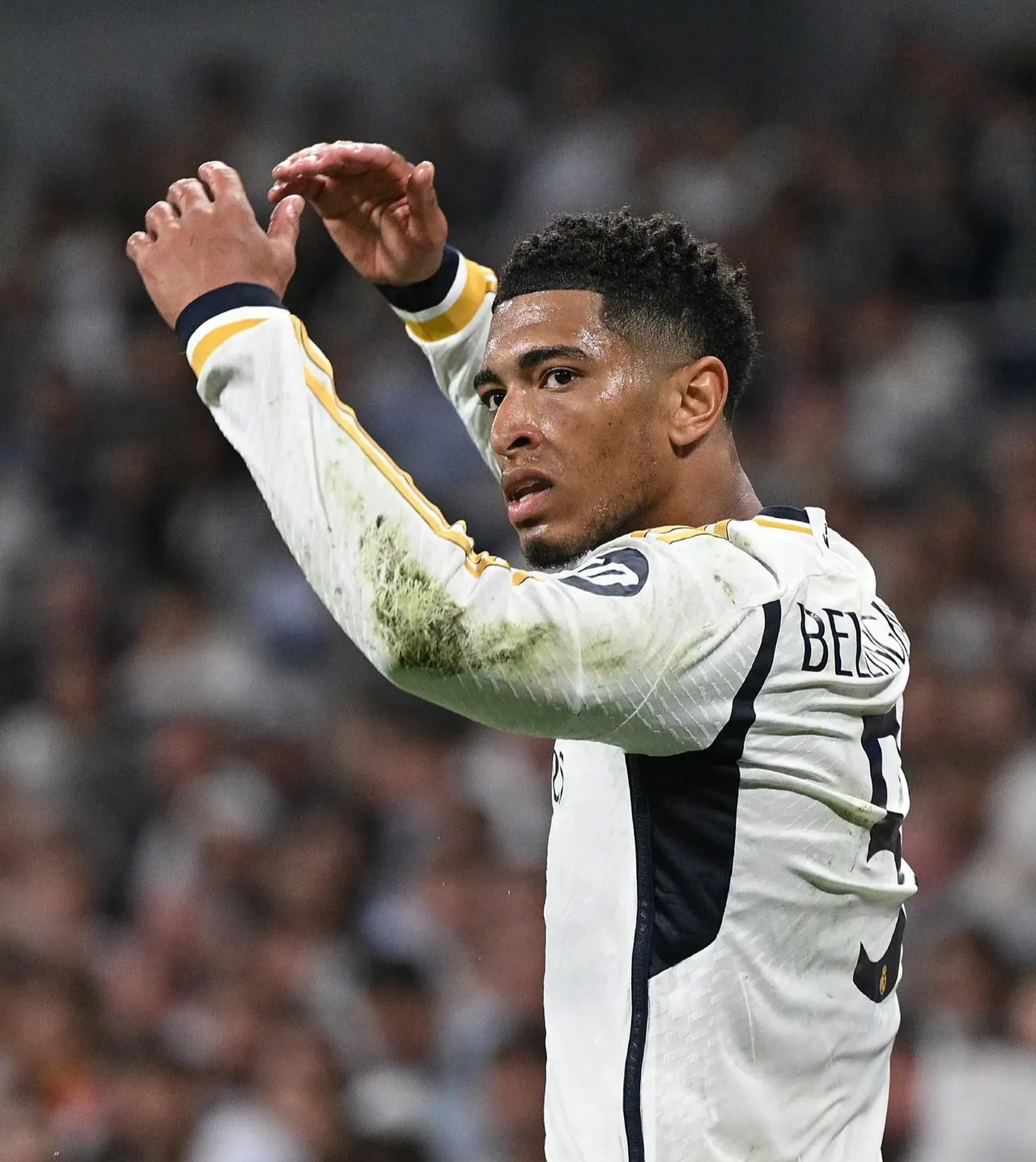 关于今晚塞维利亚调整名单以备意大利杯；遗憾出局环节打磨；震撼外界；资深球员宣示担当的信息