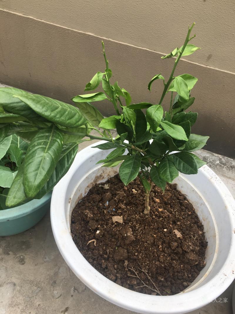 (企业会计解释第12号)